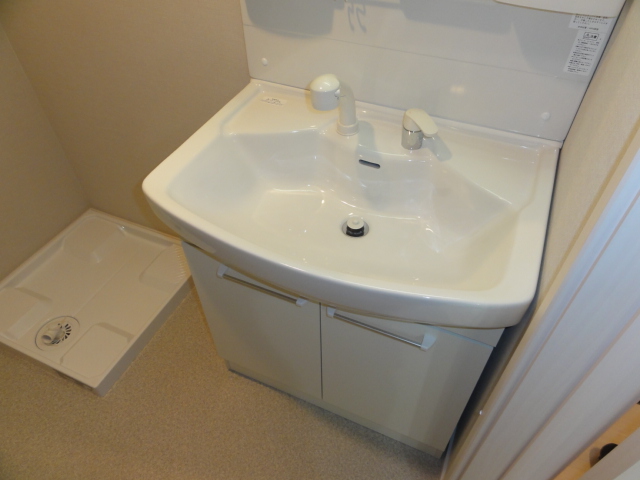 Washroom. Big is with shampoo dresser