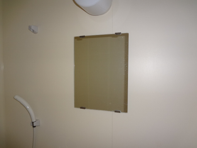 Other Equipment. Bathroom mirror