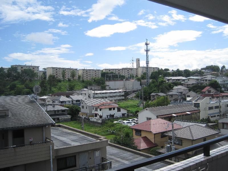 Living and room. View