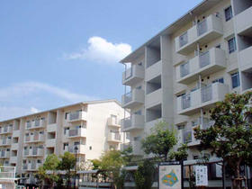 high school ・ College