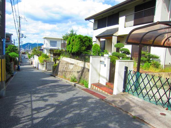 Local photos, including front road