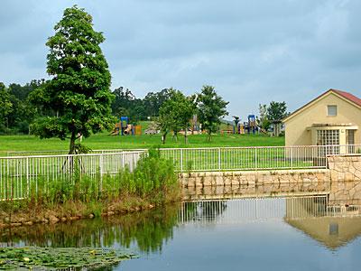 Other Environmental Photo. 230m until Jozu park