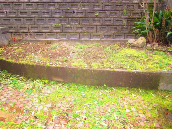 Garden. You on the south side Niwazuke