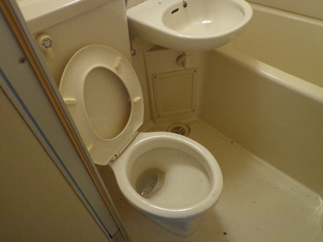 Toilet. Toilet