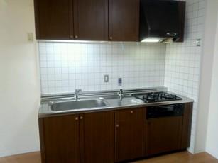 Kitchen. Indoor (July 2013) Shooting