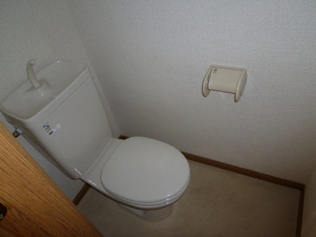 Toilet. House cleaning settled