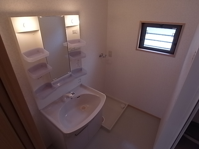 Washroom. Shampoo dresser