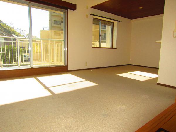 Living. South-facing living room!