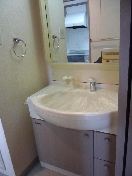 Washroom. Cleaning settled