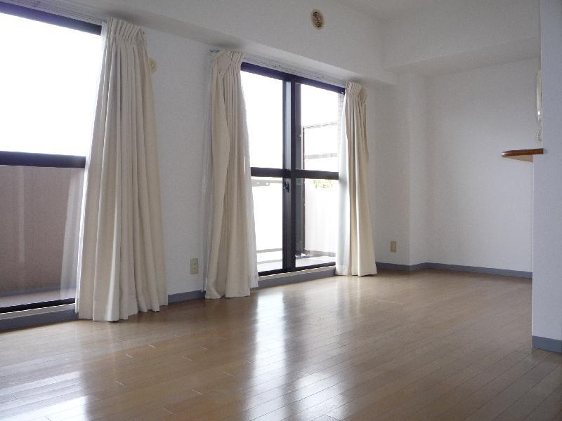 Living and room. Bright living room