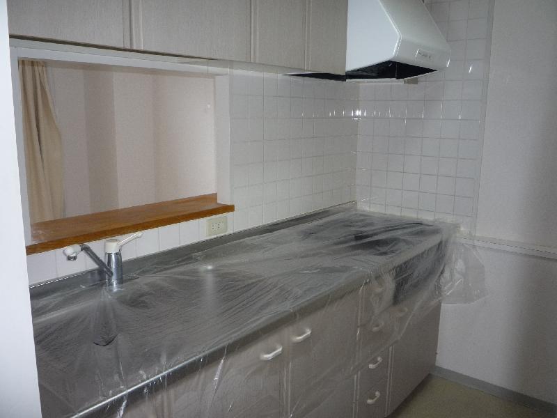 Kitchen. Face-to-face kitchen