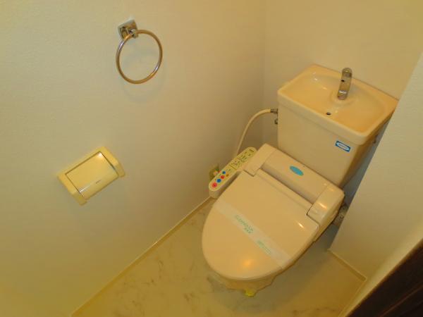 Toilet. It comes with a bidet.