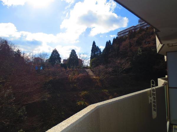 View photos from the dwelling unit. We will feel the nature from balcony.