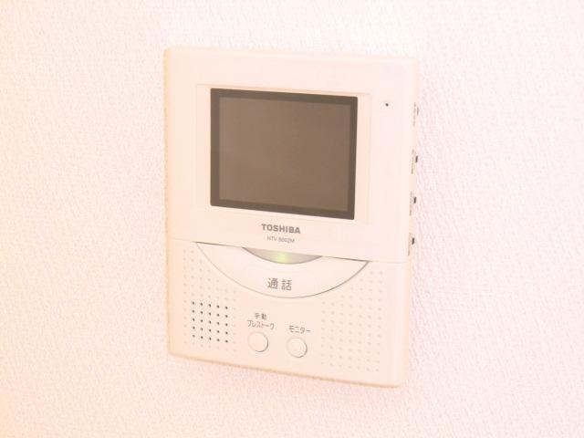 Security equipment. Local photos (color monitor intercom)