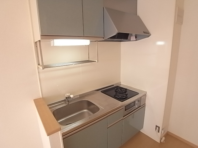 Kitchen. System kitchen (gas 2 burners)