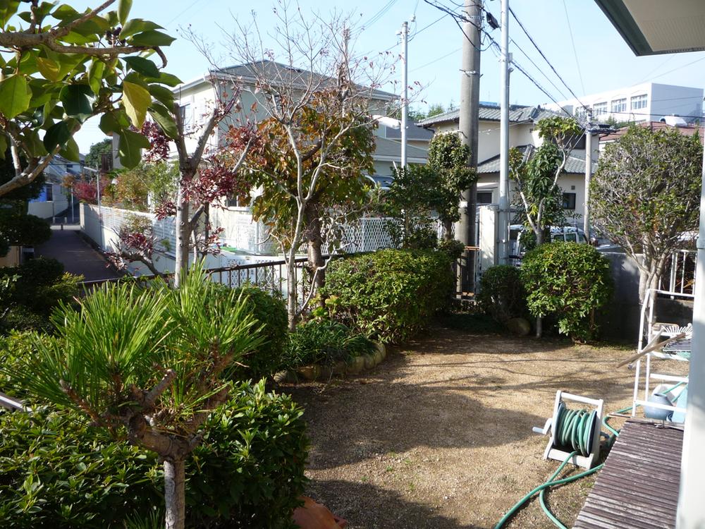 Garden. Local (11 May 2013) Shooting