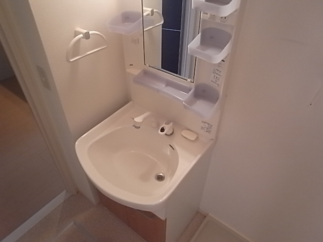 Washroom. Shampoo dresser