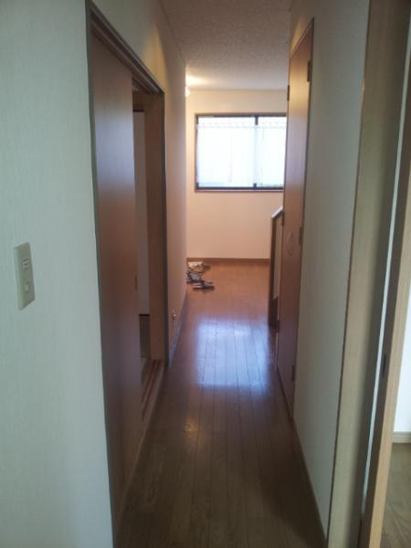 Other introspection. First floor hallway photo