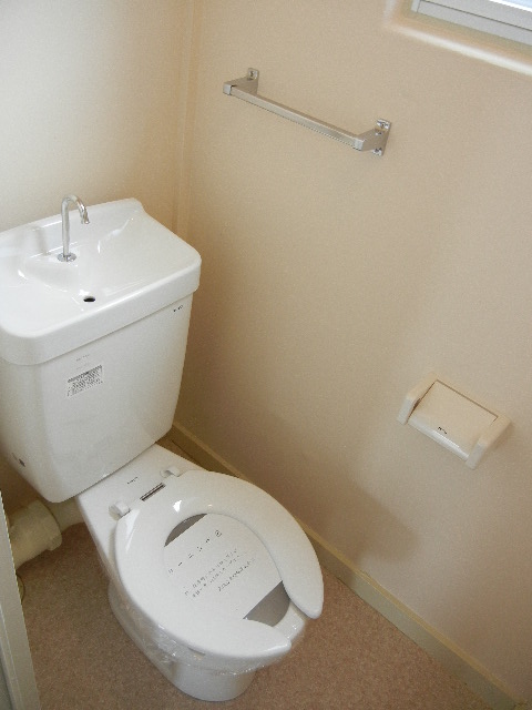 Toilet. Toilet with cleanliness