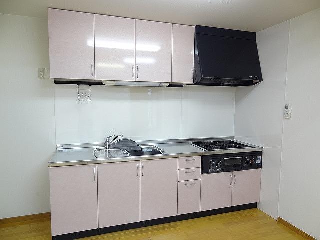 Kitchen. Indoor (10 May 2013) Shooting