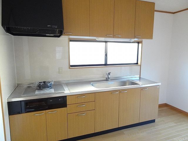 Kitchen. Indoor (10 May 2013) Shooting