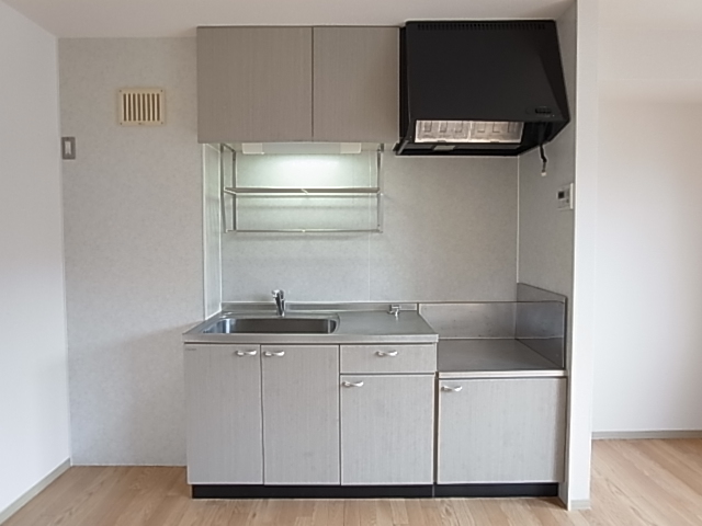 Kitchen. Gas stove installation type of kitchen