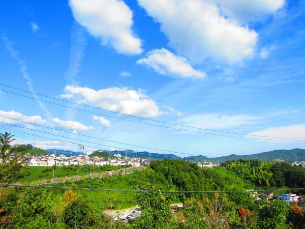 View photos from the dwelling unit