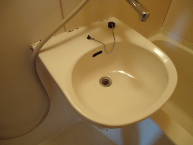 Washroom. Wash basin