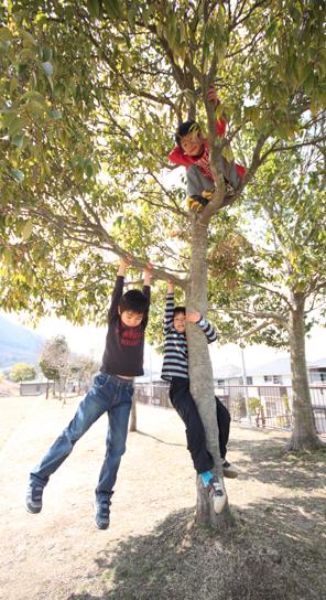 Other. Soccer, etc., From Hikohachi park there is a ground that can play ball is, You hear the children's cheerful laughter.