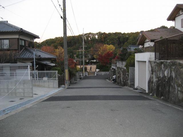 Local photos, including front road. Local (11 May 2013) Shooting