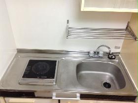 Kitchen. Electric heating type of 1-burner stove