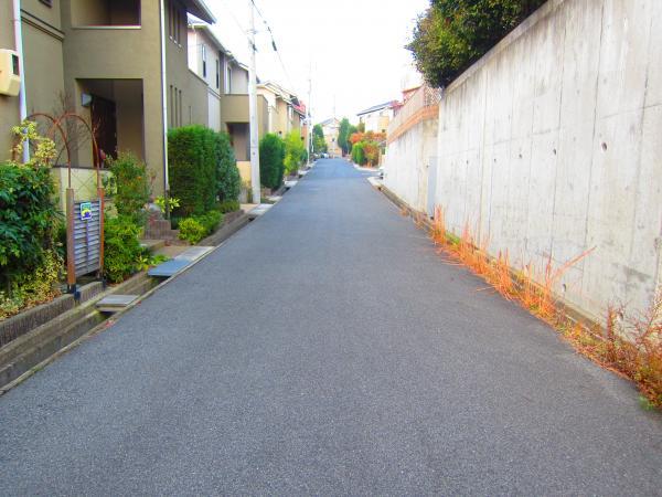 Local photos, including front road. Local appearance photo [2013 December shooting]