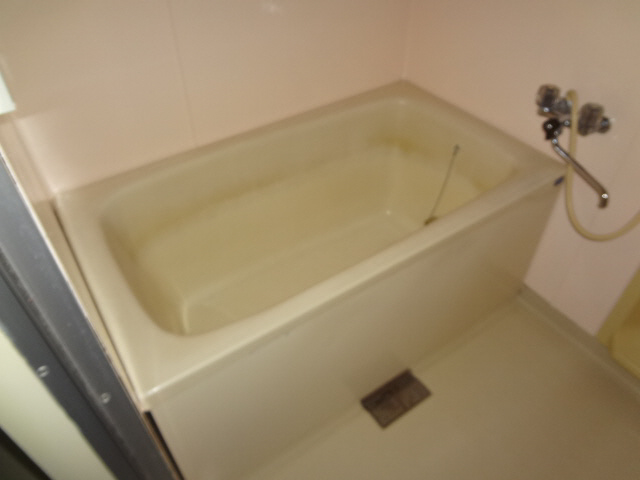 Bath. Western style room