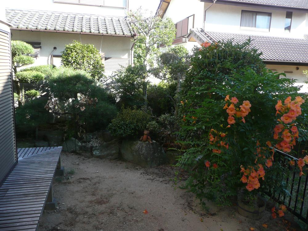 Garden. Local (August 2013) Shooting