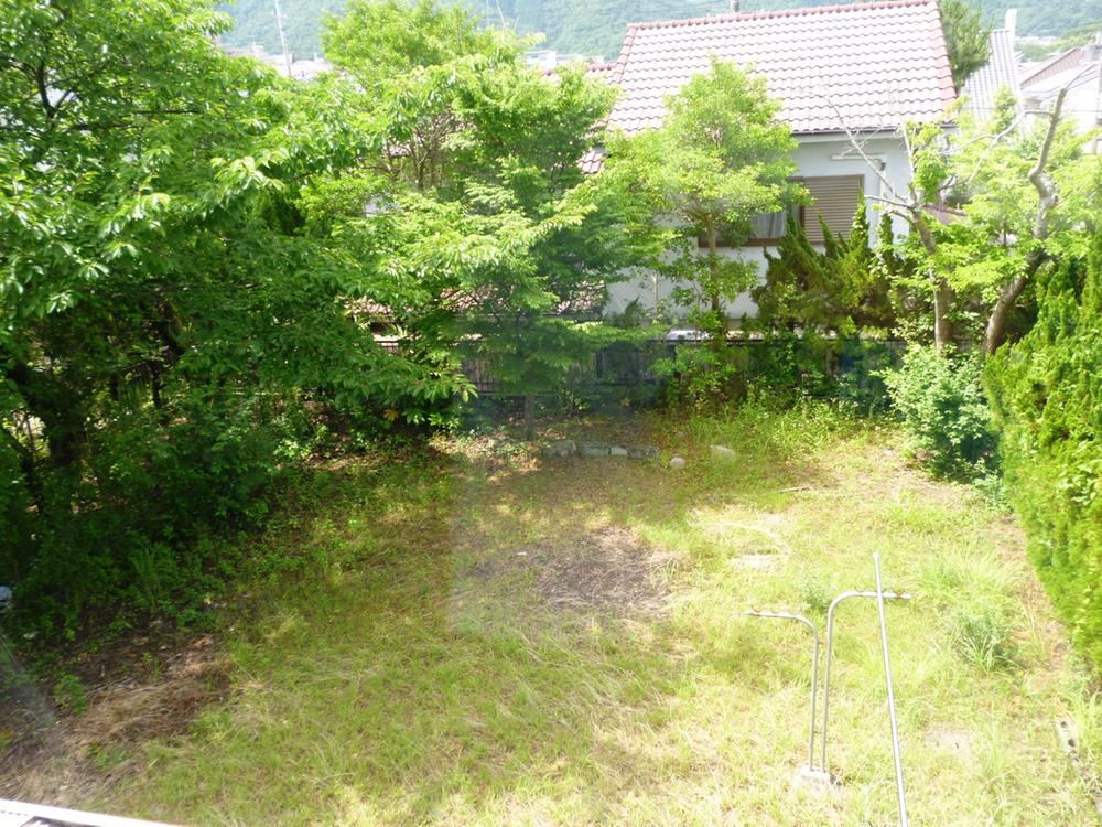 Garden. Local (June 2013) Shooting