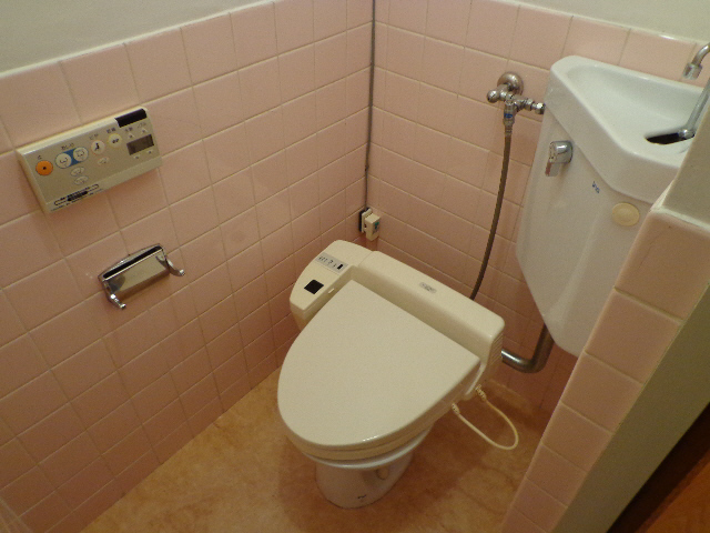 Toilet. Washlet toilet