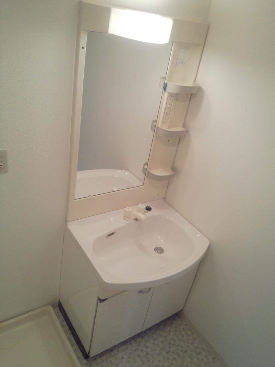 Same specifications photos (Other introspection). Vanity image is a photo.