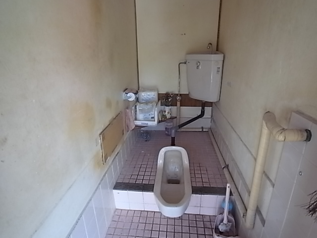 Toilet. Toilet