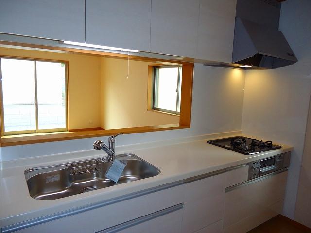 Kitchen. Indoor (11 May 2013) Shooting