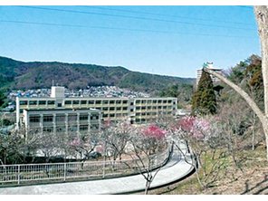 Primary school. Hanayama up to elementary school (elementary school) 584m