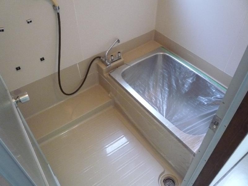 Bath. Chestnut - training already