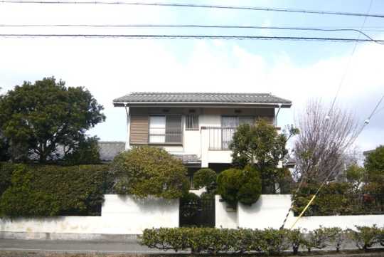 Local appearance photo. This appearance.