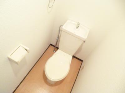 Toilet. Is a beautiful toilet disinfection already.