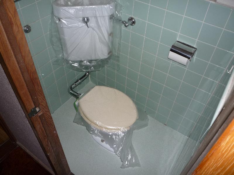 Toilet. Pre-cleaning