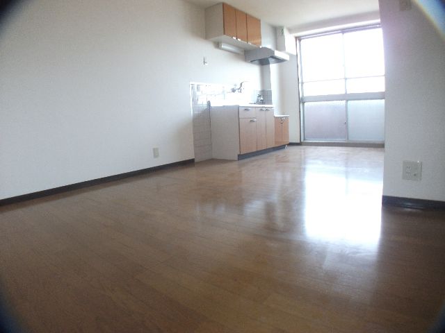 Living and room. It is daylight rich bright living.