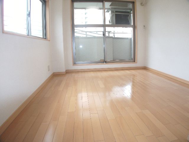 Living and room. Clean flooring, Of bright two-sided lighting Western-style