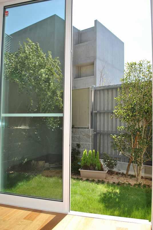 Garden. Model house No. 5 areas garden