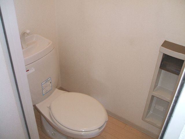 Toilet. Clean toilet
