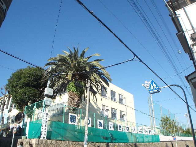 Junior high school. 722m to Kobe Municipal Ueno junior high school (junior high school)