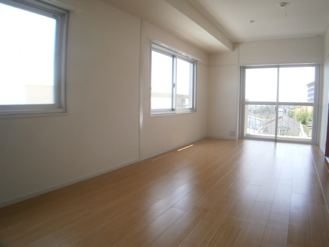 Living and room. Bright living many daylight surface